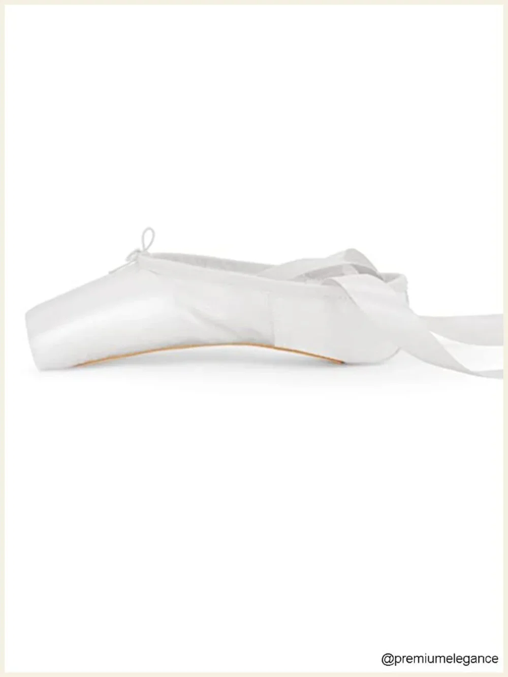 Professional Ballet Pointe Shoes with Bag and Toe Pads